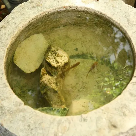 Appartamento Tinka Brseč